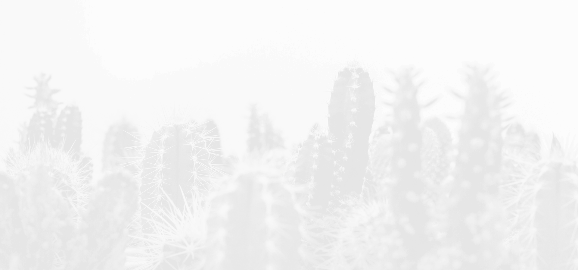 cacti